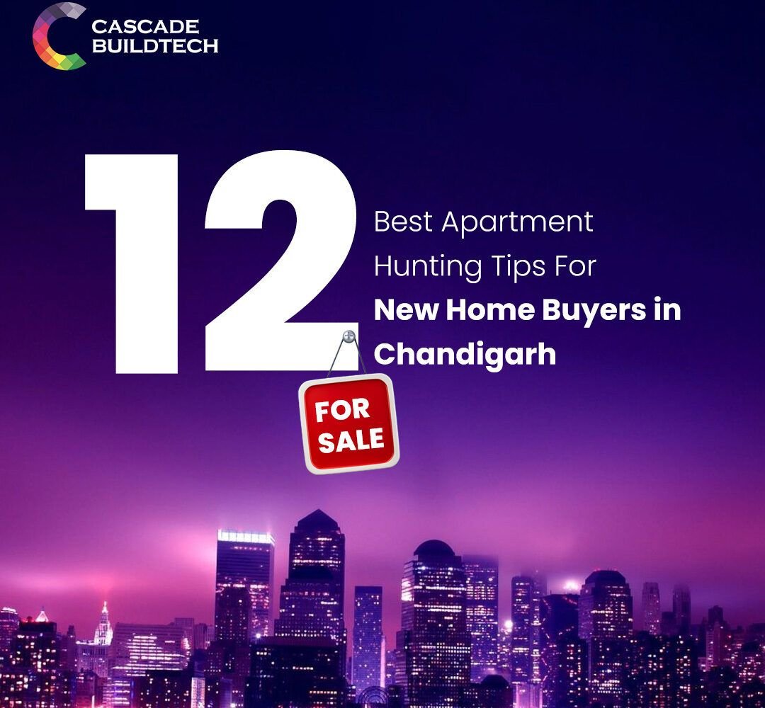 New Home Buyers in Chandigarh